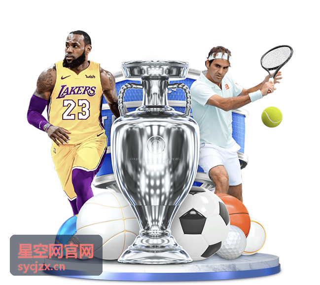 星空网官网行业峰会现场