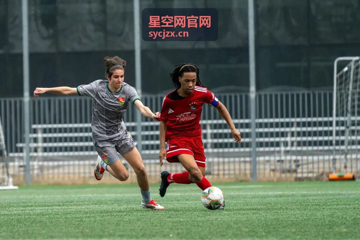 星空网官网主题沙龙交流现场