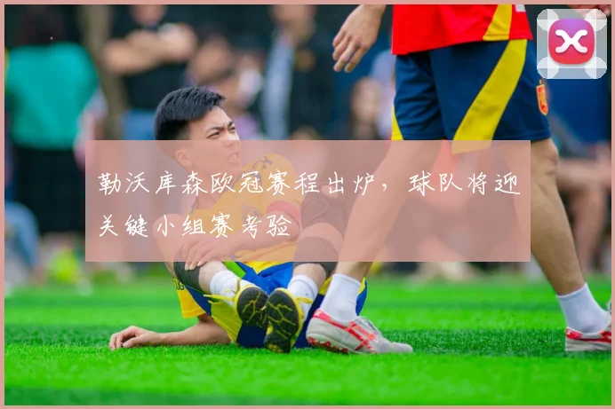 勒沃库森欧冠赛程出炉,球队将迎关键小组赛考验